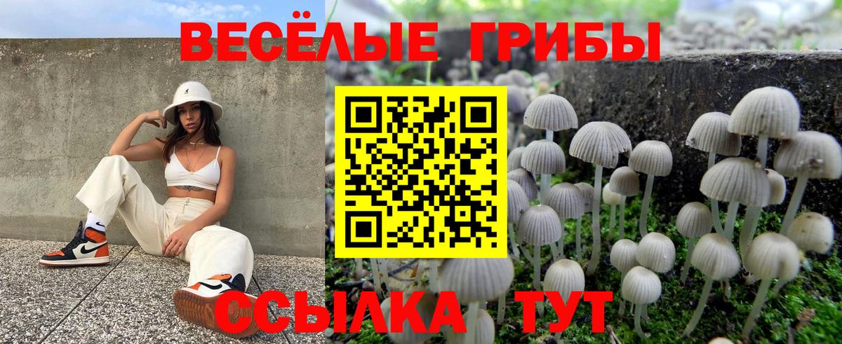 Галлюциногенные грибы MAGIC MUSHROOMS Старая Купавна